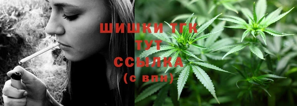 PSILOCYBIN Майский
