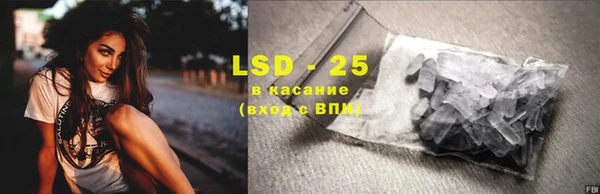 PSILOCYBIN Майский