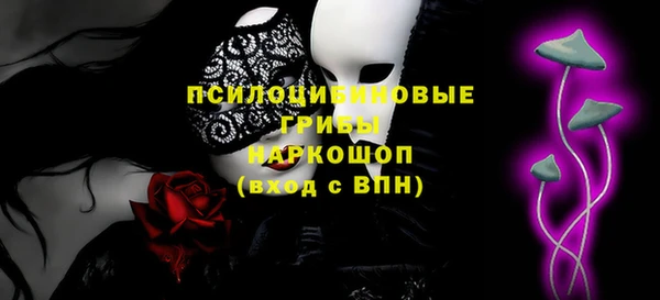apvp Лиски