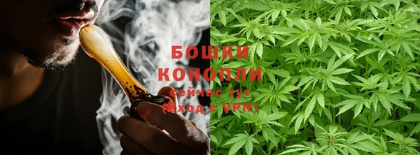 PSILOCYBIN Липки