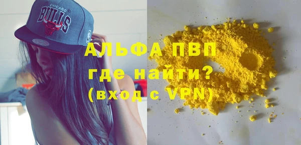 PSILOCYBIN Майский